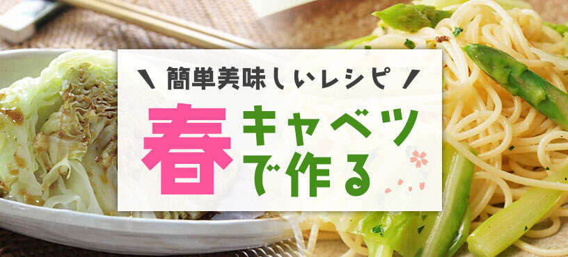 春キャベツで作る、簡単美味しいレシピ♪